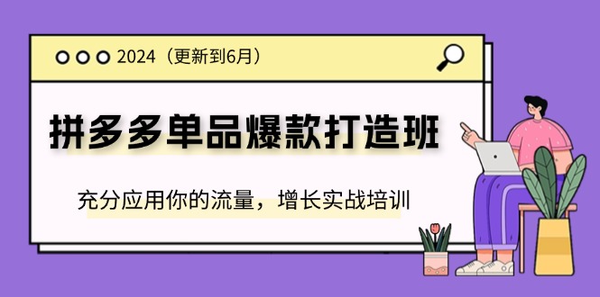 （11556期）2024拼多多平台-品类爆款打造班(升级6月)，充分应用你的流量，提高实战培训-中创网_分享中创网创业资讯_最新网络项目资源-网创e学堂