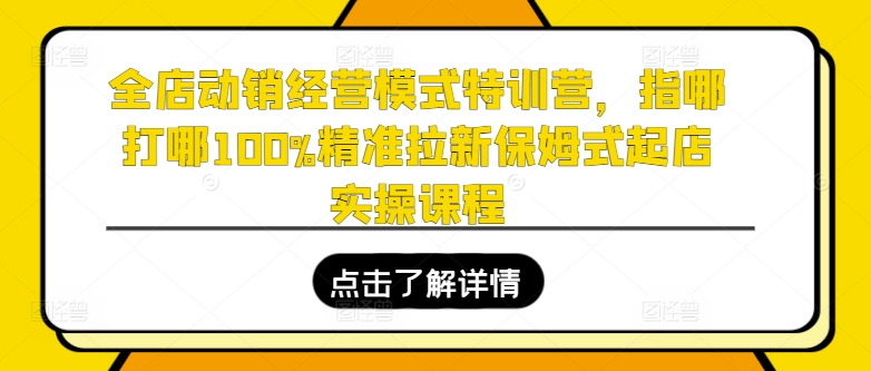 全店动销运营模式夏令营，指哪打哪100%精确引流跟踪服务出单实操课程-中创网_分享中创网创业资讯_最新网络项目资源-网创e学堂