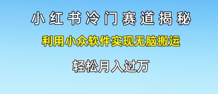 小红书的小众跑道揭密，运用小众软件完成没脑子运送，轻轻松松月入了万-中创网_分享中创网创业资讯_最新网络项目资源-网创e学堂