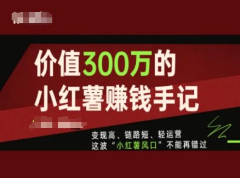 使用价值300万的小红书挣钱笔记，转现高、链接短、轻运营，这一波“小红书出风口”无法再错过了-中创网_分享中创网创业资讯_最新网络项目资源-网创e学堂