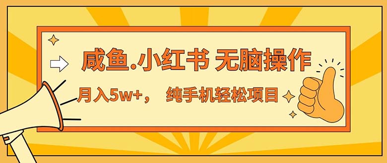 （11524期）2024最赚钱的项目，咸鱼，小红书无脑操作，每单利润500+，轻松月入5万+…-中创网_分享中创网创业资讯_最新网络项目资源-网创e学堂