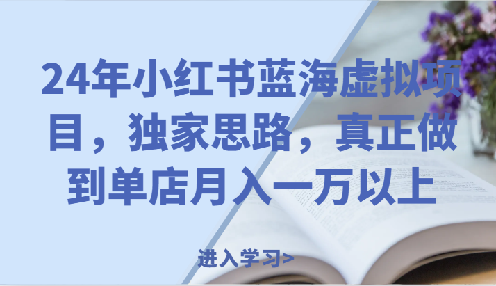 24年小红书的瀚海虚拟资源项目，独家代理构思，充分体现门店月入一万之上。-中创网_分享中创网创业资讯_最新网络项目资源-网创e学堂