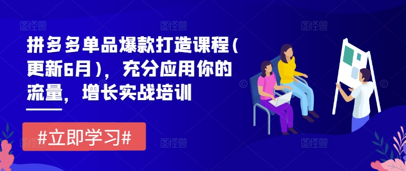 拼多多平台品类爆款打造课程内容(升级6月)，充分应用你的流量，提高实战培训-中创网_分享中创网创业资讯_最新网络项目资源-网创e学堂