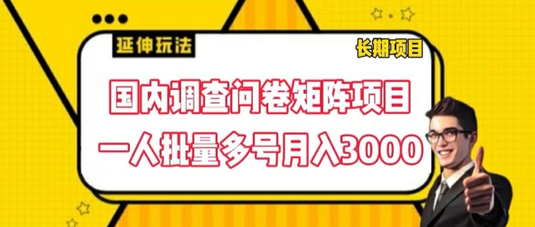 国内调查问卷矩阵项目，一人批量多号月入3000【揭秘】-中创网_分享中创网创业资讯_最新网络项目资源-网创e学堂