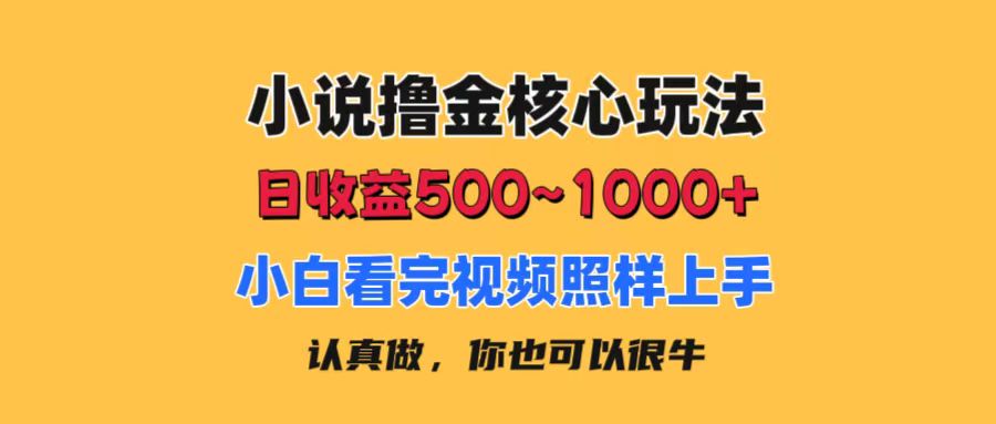 （11461期）小说撸金核心玩法，日收益500-1000+，小白看完照样上手，0成本有手就行-中创网_分享中创网创业资讯_最新网络项目资源-网创e学堂