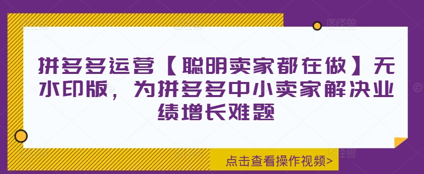 拼多多运营【聪明卖家都在做】无水印版，为拼多多中小卖家解决业绩增长难题-中创网_分享中创网创业资讯_最新网络项目资源-网创e学堂