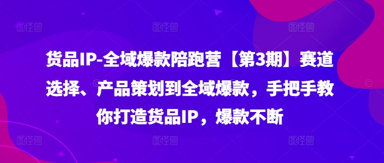 货品IP全域爆款陪跑营【第3期】赛道选择、产品策划到全域爆款，手把手教你打造货品IP，爆款不断-中创网_分享中创网创业资讯_最新网络项目资源-网创e学堂