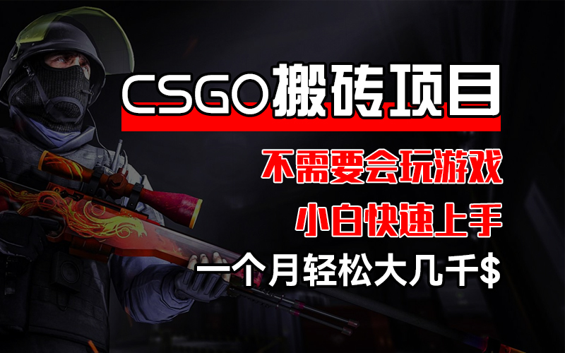 （12332期）CSGO 装备搬砖项目，操作简单，不需要会玩游戏，小白也能快速上手，一…-中创网_分享中创网创业资讯_最新网络项目资源-网创e学堂