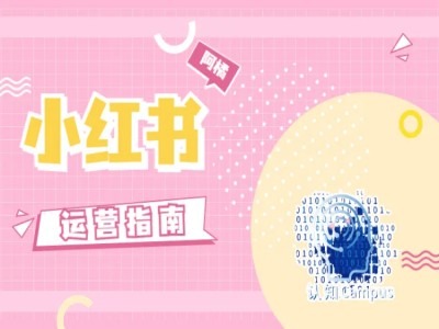 小红书运营指南，没有套路，全是经验-中创网_分享中创网创业资讯_最新网络项目资源-网创e学堂