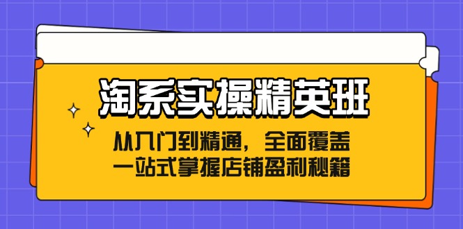 （12276期）淘系实操精英班：从入门到精通，全面覆盖，一站式掌握店铺盈利秘籍-中创网_分享中创网创业资讯_最新网络项目资源-网创e学堂