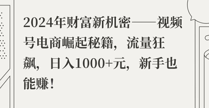 2024年财富新机密——视频号电商崛起秘籍，流量狂飙，日入1k元，新手也能赚-中创网_分享中创网创业资讯_最新网络项目资源-网创e学堂