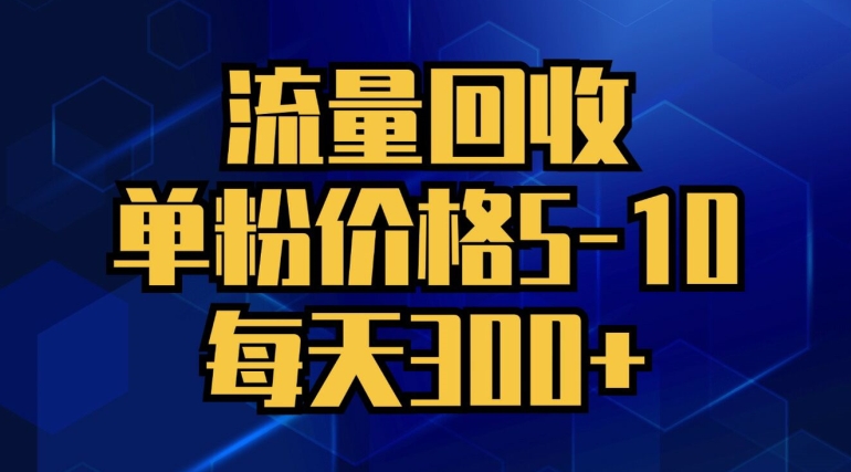 流量回收，单粉价格5-10，每天300+，轻松月入五位数-中创网_分享中创网创业资讯_最新网络项目资源-网创e学堂