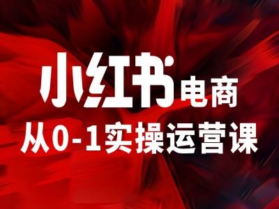 小红书电商从0-1实操运营课，让你从小白到精英-中创网_分享中创网创业资讯_最新网络项目资源-网创e学堂