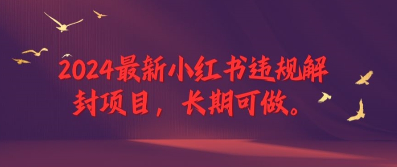 2024最新小红书违规解封项目，长期可做，一个可以做到退休的项目【揭秘】-中创网_分享中创网创业资讯_最新网络项目资源-网创e学堂