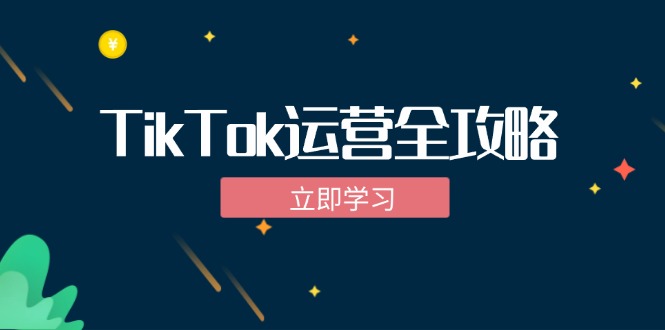 （12739期）TikTok实战运营全攻略：从下载软件到变现，抖音海外版实操教程-中创网_分享中创网创业资讯_最新网络项目资源-网创e学堂