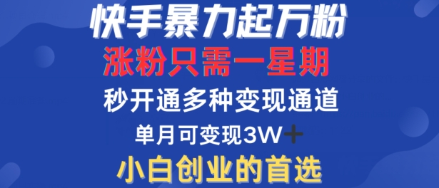 快手暴力起万粉，涨粉只需一星期，多种变现模式，直接秒开万合，单月变现过W【揭秘】-中创网_分享中创网创业资讯_最新网络项目资源-网创e学堂