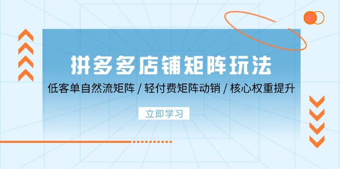 拼多多店铺矩阵玩法：低客单自然流矩阵 / 轻付费矩阵 动销 / 核心权重提升-中创网_分享中创网创业资讯_最新网络项目资源-网创e学堂