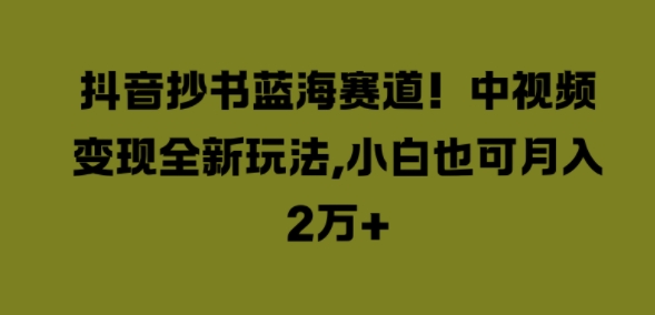 抖音抄书蓝海赛道，中视频变现全新玩法，小白也可月入2W+-中创网_分享中创网创业资讯_最新网络项目资源-网创e学堂