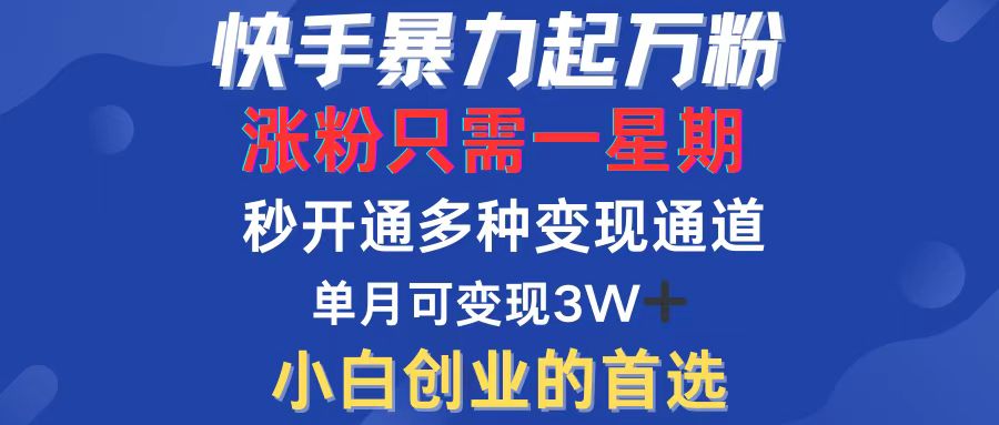 （12651期）快手暴力起万粉，涨粉只需一星期，多种变现模式，直接秒开万合，小白创…-中创网_分享中创网创业资讯_最新网络项目资源-网创e学堂