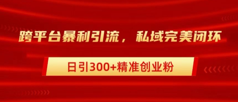 跨平台暴力引流，私域完美闭环，日引100+精准创业粉-中创网_分享中创网创业资讯_最新网络项目资源-网创e学堂