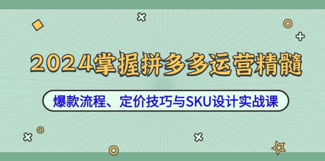 2024掌握拼多多运营精髓：爆款流程、定价技巧与SKU设计实战课-中创网_分享中创网创业资讯_最新网络项目资源-网创e学堂