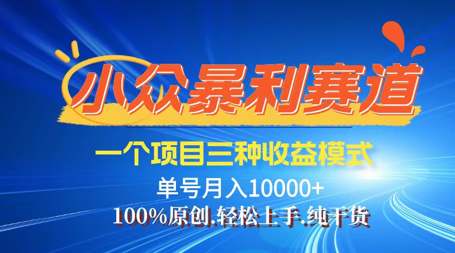 （12579期）【老人言】-视频号爆火赛道，三种变现方式，0粉新号调调爆款-中创网_分享中创网创业资讯_最新网络项目资源-网创e学堂