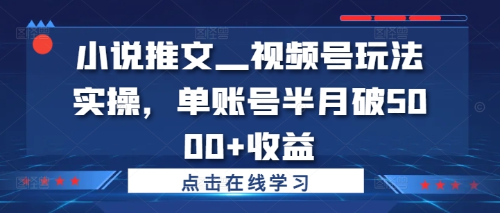 小说推文—视频号玩法实操，单账号半月破5000+收益-中创网_分享中创网创业资讯_最新网络项目资源-网创e学堂