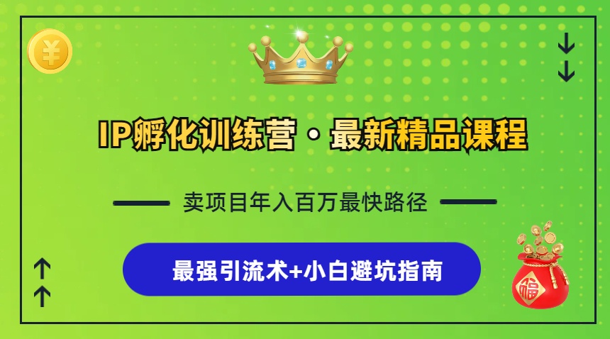 （13055期）IP孵化训练营，知识付费全流程+最强引流术+小白避坑指南-中创网_分享中创网创业资讯_最新网络项目资源-网创e学堂