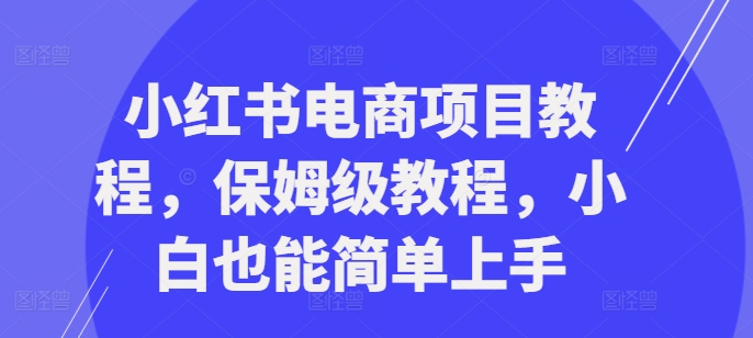 小红书电商项目教程，保姆级教程，小白也能简单上手-中创网_分享中创网创业资讯_最新网络项目资源-网创e学堂