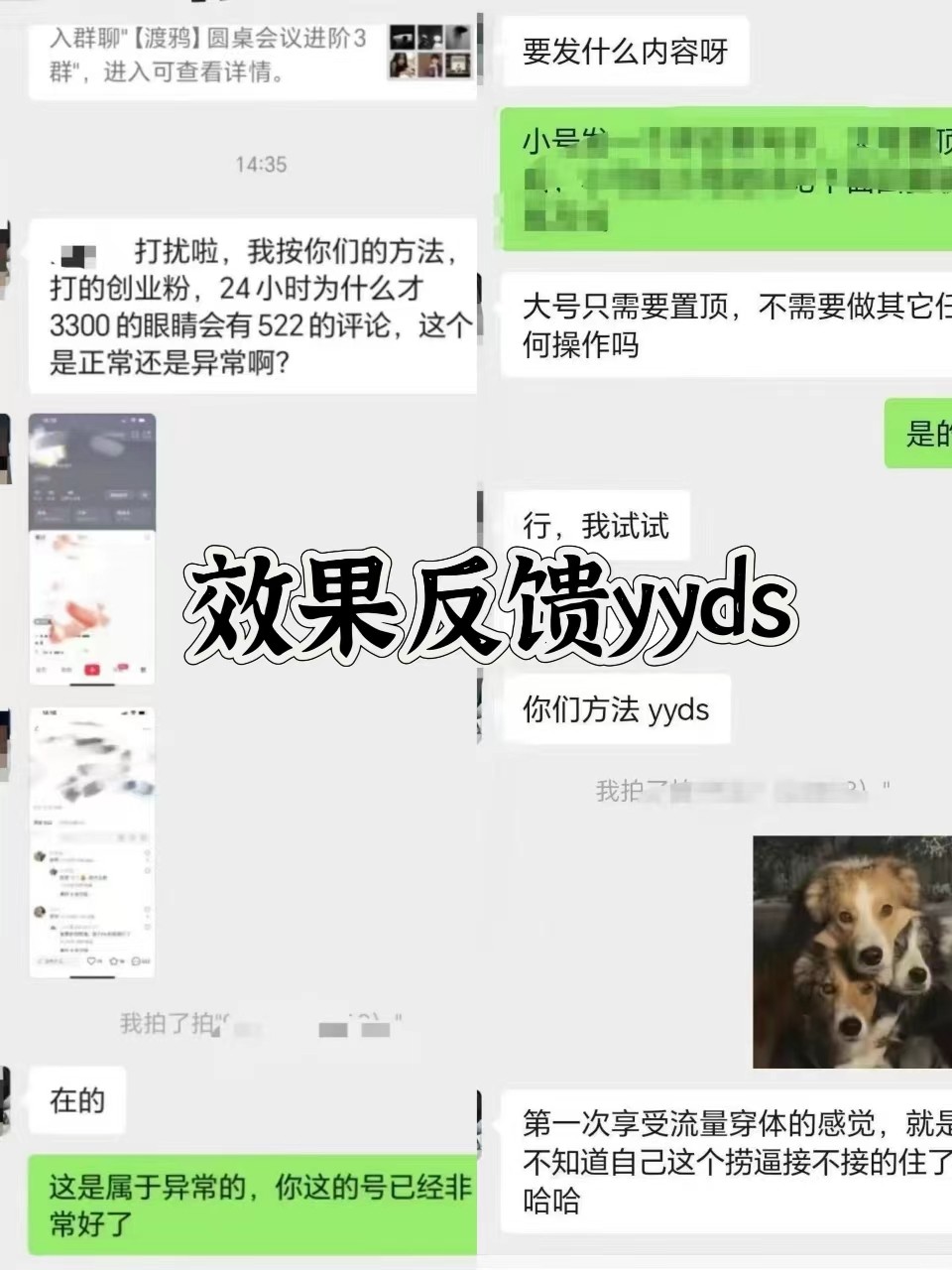 图片[3]-抖音小红书视频号全平台引流打法，全自动引流日引2000+精准客户-中创网_分享中创网创业资讯_最新网络项目资源