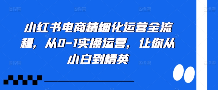 小红书电商精细化运营全流程，从0-1实操运营，让你从小白到精英-中创网_分享中创网创业资讯_最新网络项目资源-网创e学堂