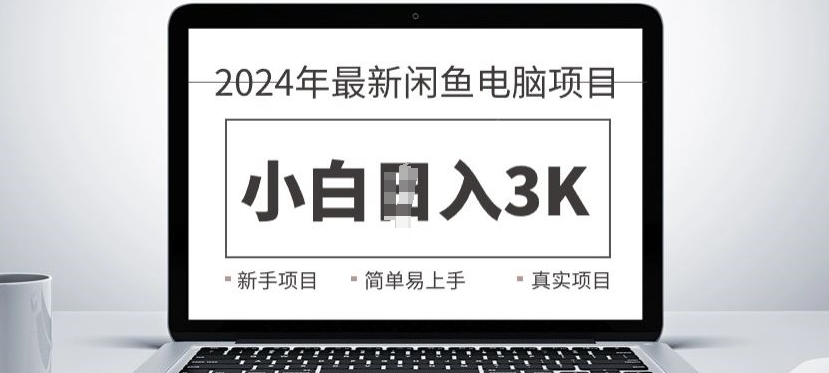 2024最新闲鱼电脑项目，动手就能吃肉的好项目-中创网_分享中创网创业资讯_最新网络项目资源-网创e学堂