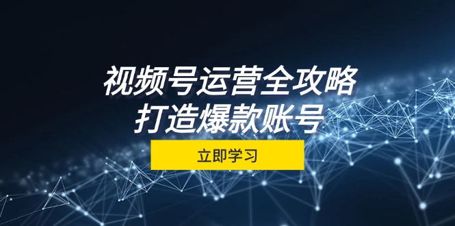 （12912期）视频号运营全攻略，从定位到成交一站式学习，视频号核心秘诀，打造爆款…-中创网_分享中创网创业资讯_最新网络项目资源-网创e学堂