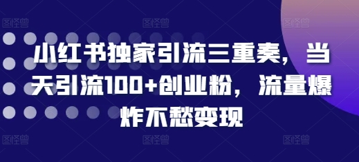 小红书独家引流三重奏，当天引流100+创业粉，流量爆炸不愁变现【揭秘】-中创网_分享中创网创业资讯_最新网络项目资源-网创e学堂