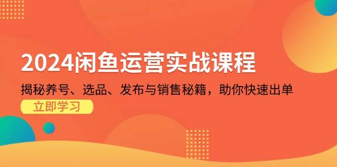 2024闲鱼运营实战课程：揭秘养号、选品、发布与销售秘籍，助你快速出单-中创网_分享中创网创业资讯_最新网络项目资源-网创e学堂