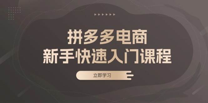 拼多多电商新手快速入门课程：涵盖基础、实战与选款，助力小白轻松上手-中创网_分享中创网创业资讯_最新网络项目资源-网创e学堂