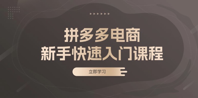 （13289期）拼多多电商新手快速入门课程：涵盖基础、实战与选款，助力小白轻松上手-中创网_分享中创网创业资讯_最新网络项目资源-网创e学堂