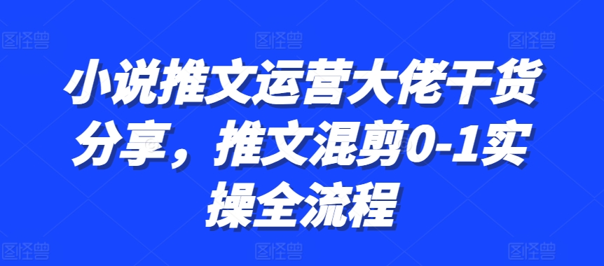 小说推文运营大佬干货分享，推文混剪0-1实操全流程-中创网_分享中创网创业资讯_最新网络项目资源-网创e学堂