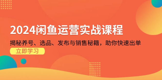 （13290期）2024闲鱼运营实战课程：揭秘养号、选品、发布与销售秘籍，助你快速出单-中创网_分享中创网创业资讯_最新网络项目资源-网创e学堂