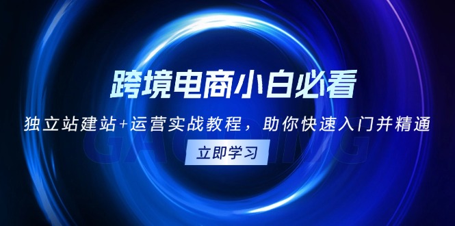 （13503期）跨境电商小白必看！独立站建站+运营实战教程，助你快速入门并精通-中创网_分享中创网创业资讯_最新网络项目资源-网创e学堂