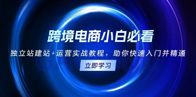 跨境电商小白必看！独立站建站+运营实战教程，助你快速入门并精通-中创网_分享中创网创业资讯_最新网络项目资源-网创e学堂