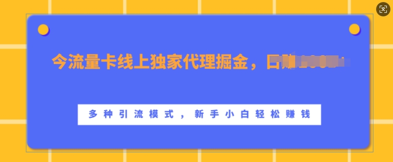 流量卡线上独家代理掘金，日入1k+ ，多种引流模式，新手小白轻松上手【揭秘】-中创网_分享中创网创业资讯_最新网络项目资源-网创e学堂