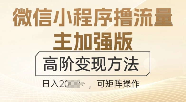 微信小程序撸流量主加强版，高阶变现方法，日收益多张-中创网_分享中创网创业资讯_最新网络项目资源-网创e学堂