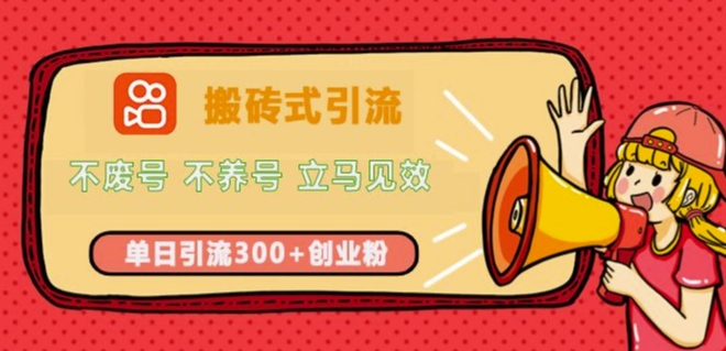 快手搬砖式引流，不废号，不养号，立马见效，单日引流300+精准创业粉-中创网_分享中创网创业资讯_最新网络项目资源-网创e学堂