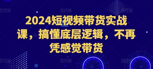 2024短视频带货实战课，搞懂底层逻辑，不再凭感觉带货-中创网_分享中创网创业资讯_最新网络项目资源-网创e学堂