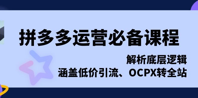 （13700期）拼多多运营必备课程，解析底层逻辑，涵盖低价引流、OCPX转全站-中创网_分享中创网创业资讯_最新网络项目资源-网创e学堂