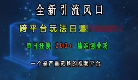 全新引流风口，跨平台玩法日入上k，单日狂揽200+精准创业粉，一个被严重忽略的视频平台-中创网_分享中创网创业资讯_最新网络项目资源-网创e学堂