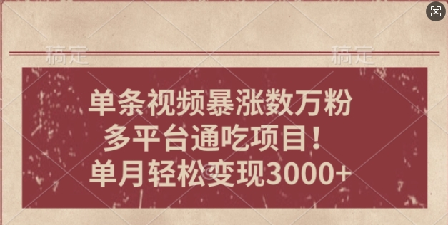 一条作品涨万粉，轻松上手，单月简单变现3000+-中创网_分享中创网创业资讯_最新网络项目资源-网创e学堂