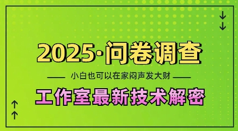 2025问卷调查最新工作室技术解密：一个人在家也可以闷声发大财，小白一天2张，可矩阵放大【揭秘】-中创网_分享中创网创业资讯_最新网络项目资源-网创e学堂