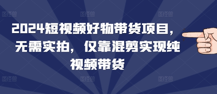 2024短视频好物带货项目，无需实拍，仅靠混剪实现纯视频带货-中创网_分享中创网创业资讯_最新网络项目资源-网创e学堂